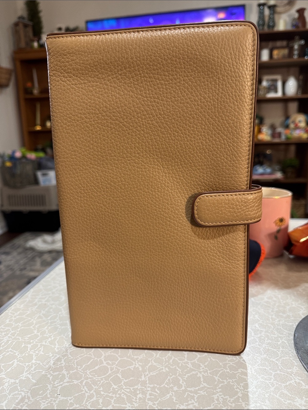 Woman’s Jewelry travel case